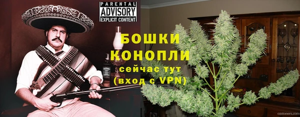 ПСИЛОЦИБИНОВЫЕ ГРИБЫ Аркадак