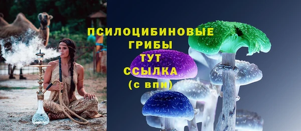 ПСИЛОЦИБИНОВЫЕ ГРИБЫ Аркадак