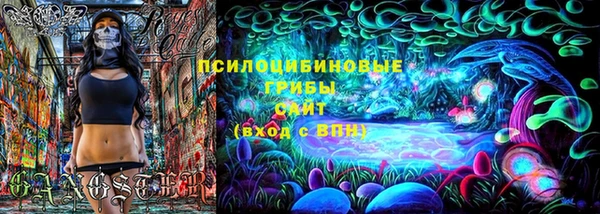 винт Армянск